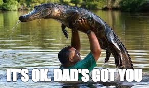 Dad's Got You | IT'S OK. DAD'S GOT YOU | image tagged in alligator | made w/ Imgflip meme maker