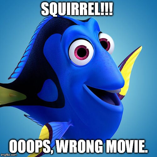 SQUIRREL!!! OOOPS, WRONG MOVIE. | made w/ Imgflip meme maker