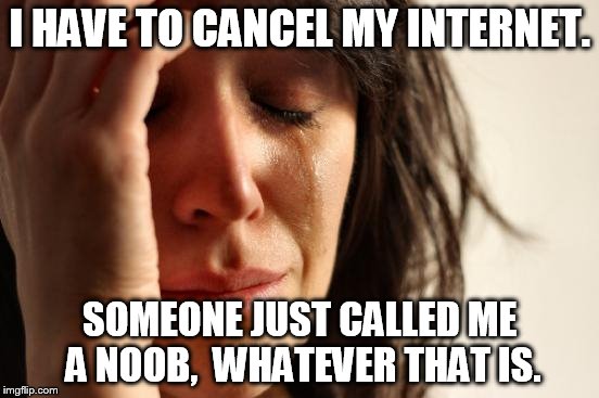 First World Problems Meme | I HAVE TO CANCEL MY INTERNET. SOMEONE JUST CALLED ME A NOOB,  WHATEVER THAT IS. | image tagged in memes,first world problems | made w/ Imgflip meme maker
