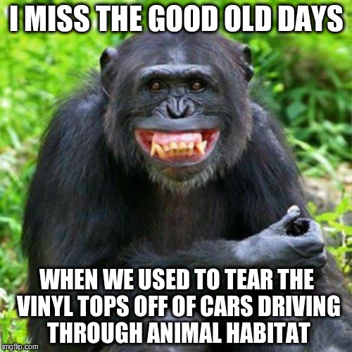 I miss the Good ol' Days | I MISS THE GOOD OLD DAYS; WHEN WE USED TO TEAR THE VINYL TOPS OFF OF CARS DRIVING THROUGH ANIMAL HABITAT | image tagged in keep smiling,memes | made w/ Imgflip meme maker
