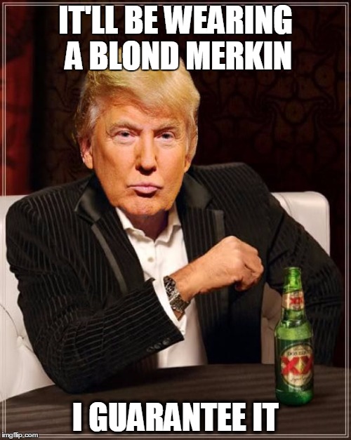Trump Most Interesting Man In The World | IT'LL BE WEARING A BLOND MERKIN; I GUARANTEE IT | image tagged in trump most interesting man in the world | made w/ Imgflip meme maker