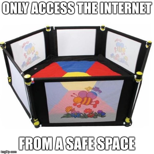 ONLY ACCESS THE INTERNET FROM A SAFE SPACE | made w/ Imgflip meme maker