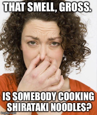 THAT SMELL, GROSS. IS SOMEBODY COOKING SHIRATAKI NOODLES? | made w/ Imgflip meme maker