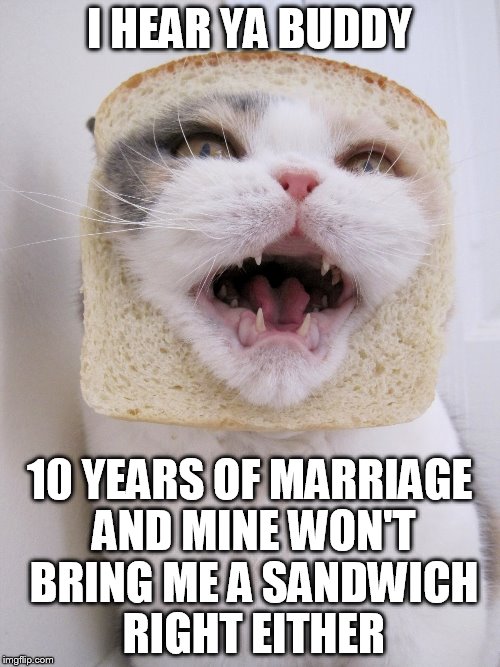 I HEAR YA BUDDY 10 YEARS OF MARRIAGE AND MINE WON'T BRING ME A SANDWICH RIGHT EITHER | made w/ Imgflip meme maker