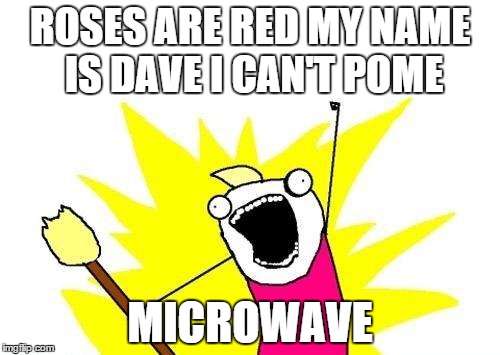X All The Y Meme | ROSES ARE RED
MY NAME IS DAVE I CAN'T POME; MICROWAVE | image tagged in memes,x all the y | made w/ Imgflip meme maker