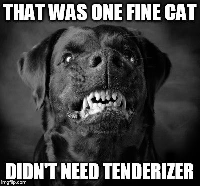 THAT WAS ONE FINE CAT DIDN'T NEED TENDERIZER | made w/ Imgflip meme maker