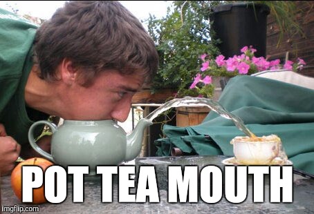 POT TEA MOUTH | image tagged in pottymouth,funny,memes,simplicity is best city,wtf,visual puns | made w/ Imgflip meme maker