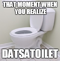 THAT MOMENT WHEN YOU REALIZE; DATSATOILET | image tagged in datsatoilet | made w/ Imgflip meme maker