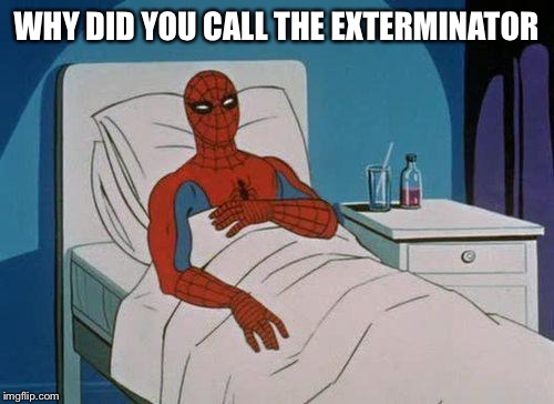 Spiderman Hospital | WHY DID YOU CALL THE EXTERMINATOR | image tagged in memes,spiderman hospital,spiderman | made w/ Imgflip meme maker