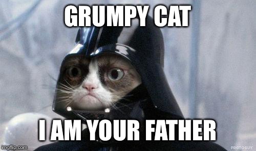 Grumpy Cat Star Wars | GRUMPY CAT; I AM YOUR FATHER | image tagged in memes,grumpy cat star wars,grumpy cat | made w/ Imgflip meme maker