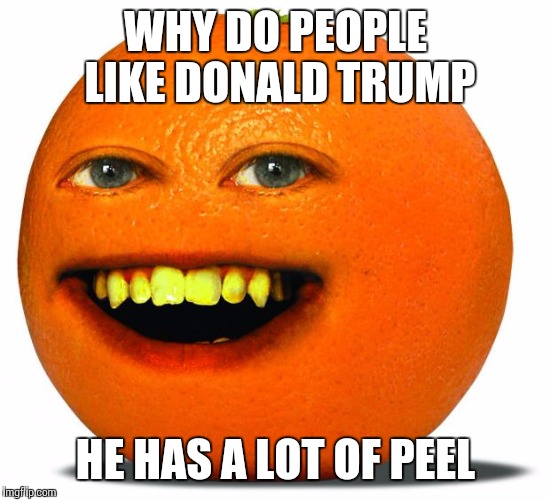 Annoying Orange |  WHY DO PEOPLE LIKE DONALD TRUMP; HE HAS A LOT OF PEEL | image tagged in annoying orange | made w/ Imgflip meme maker