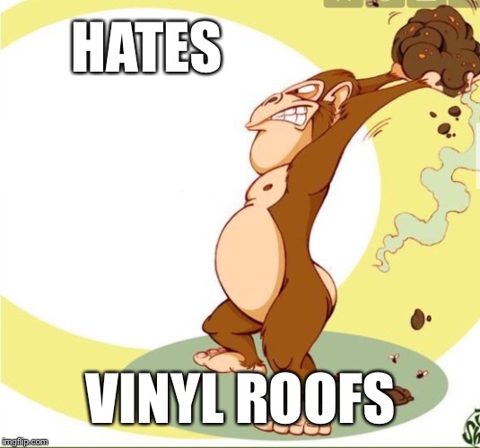 HATES VINYL ROOFS | made w/ Imgflip meme maker