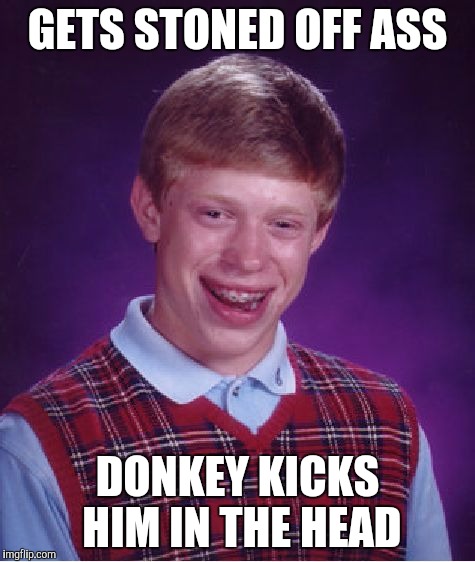Bad Luck Brian | GETS STONED OFF ASS; DONKEY KICKS HIM IN THE HEAD | image tagged in memes,bad luck brian | made w/ Imgflip meme maker