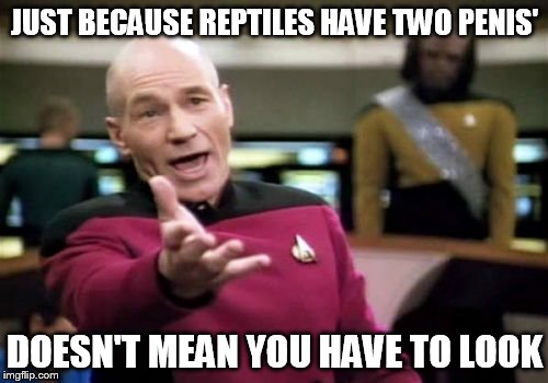 Picard Wtf Meme | JUST BECAUSE REPTILES HAVE TWO P**IS' DOESN'T MEAN YOU HAVE TO LOOK | image tagged in memes,picard wtf | made w/ Imgflip meme maker