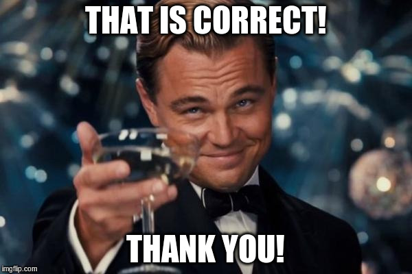 Leonardo Dicaprio Cheers Meme | THAT IS CORRECT! THANK YOU! | image tagged in memes,leonardo dicaprio cheers | made w/ Imgflip meme maker