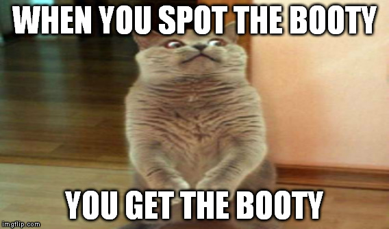 Booty Cat | WHEN YOU SPOT THE BOOTY; YOU GET THE BOOTY | image tagged in cats | made w/ Imgflip meme maker