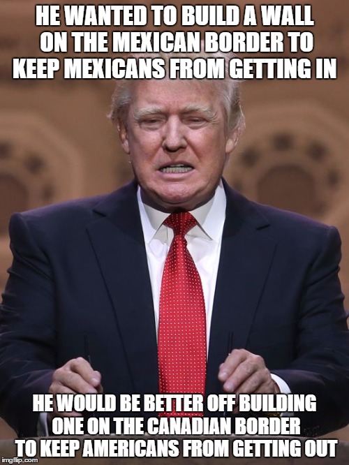 D Trump, another wall needed? | HE WANTED TO BUILD A WALL ON THE MEXICAN BORDER TO KEEP MEXICANS FROM GETTING IN; HE WOULD BE BETTER OFF BUILDING ONE ON THE CANADIAN BORDER TO KEEP AMERICANS FROM GETTING OUT | image tagged in donald trump,politics,usa,canada,mexico | made w/ Imgflip meme maker