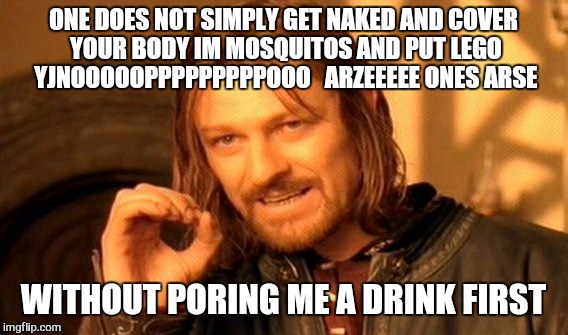 u really feel sorry for the the word no is the loneliest  | ONE DOES NOT SIMPLY GET NAKED AND COVER YOUR BODY IM MOSQUITOS AND PUT LEGO  YJNOOOOOPPPPPPPPPOOO   ARZEEEEE ONES ARSE; WITHOUT PORING ME A DRINK FIRST | image tagged in memes,one does not simply,lego,drinking | made w/ Imgflip meme maker