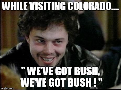 WHILE VISITING COLORADO.... " WE'VE GOT BUSH, WE'VE GOT BUSH ! " | image tagged in nerd,booger,pot,marijuana | made w/ Imgflip meme maker