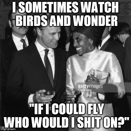 brando | I SOMETIMES WATCH BIRDS AND WONDER; "IF I COULD FLY WHO WOULD I SHIT ON?" | image tagged in memes | made w/ Imgflip meme maker