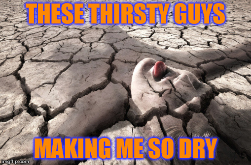 THESE THIRSTY GUYS; MAKING ME SO DRY | image tagged in thirsty,dry | made w/ Imgflip meme maker