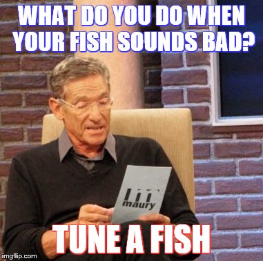Maury Lie Detector Meme | WHAT DO YOU DO WHEN YOUR FISH SOUNDS BAD? TUNE A FISH | image tagged in memes,maury lie detector | made w/ Imgflip meme maker