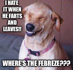 funny dog | I HATE IT WHEN HE FARTS AND LEAVES!! WHERE'S THE FEBREZE??? | image tagged in funny dog | made w/ Imgflip meme maker