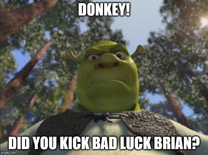 DONKEY! DID YOU KICK BAD LUCK BRIAN? | made w/ Imgflip meme maker