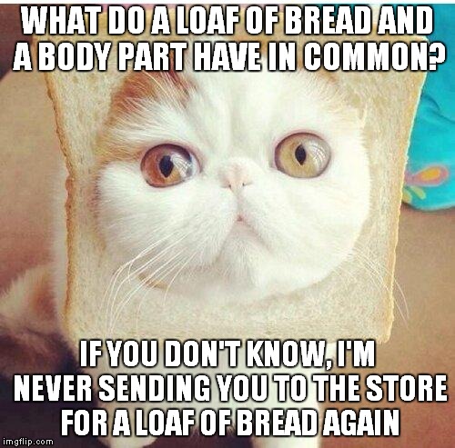a cat tells a store-crazy son | WHAT DO A LOAF OF BREAD AND A BODY PART HAVE IN COMMON? IF YOU DON'T KNOW, I'M NEVER SENDING YOU TO THE STORE FOR A LOAF OF BREAD AGAIN | image tagged in breadcat | made w/ Imgflip meme maker