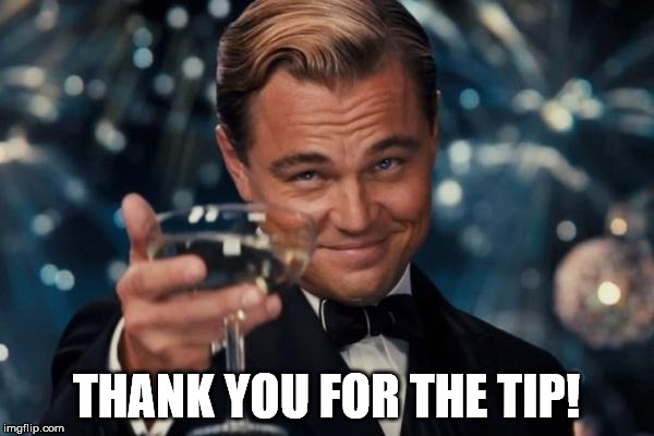 Leonardo Dicaprio Cheers Meme | THANK YOU FOR THE TIP! | image tagged in memes,leonardo dicaprio cheers | made w/ Imgflip meme maker