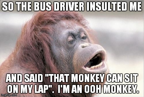 Monkey OOH Meme | SO THE BUS DRIVER INSULTED ME; AND SAID "THAT MONKEY CAN SIT ON MY LAP".  I'M AN OOH MONKEY. | image tagged in memes,monkey ooh | made w/ Imgflip meme maker