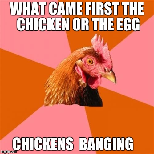 Anti Joke Chicken Meme | WHAT CAME FIRST THE CHICKEN OR THE EGG; CHICKENS  BANGING | image tagged in memes,anti joke chicken | made w/ Imgflip meme maker