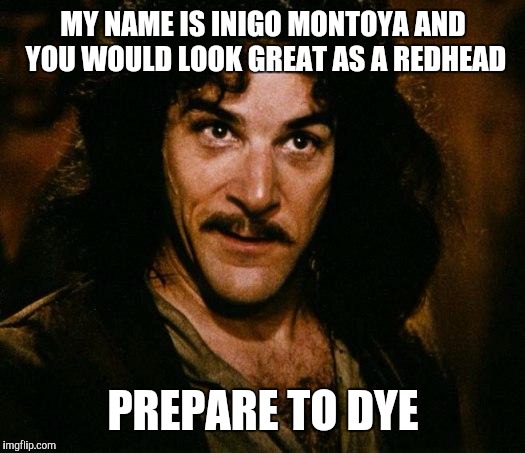 Inigo Montoya | MY NAME IS INIGO MONTOYA AND YOU WOULD LOOK GREAT AS A REDHEAD; PREPARE TO DYE | image tagged in memes,inigo montoya | made w/ Imgflip meme maker