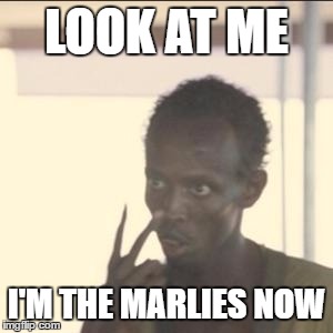 Look At Me Meme | LOOK AT ME; I'M THE MARLIES NOW | image tagged in memes,look at me | made w/ Imgflip meme maker