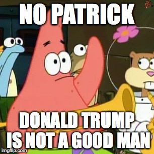 No Patrick | NO PATRICK; DONALD TRUMP IS NOT A GOOD MAN | image tagged in memes,no patrick,scumbag | made w/ Imgflip meme maker