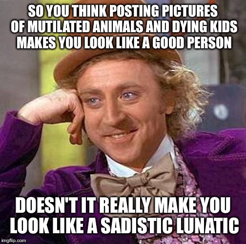 Creepy Condescending Wonka Meme | SO YOU THINK POSTING PICTURES OF MUTILATED ANIMALS AND DYING KIDS MAKES YOU LOOK LIKE A GOOD PERSON; DOESN'T IT REALLY MAKE YOU LOOK LIKE A SADISTIC LUNATIC | image tagged in memes,creepy condescending wonka | made w/ Imgflip meme maker