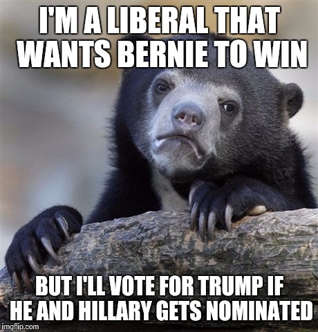 Confession Bear | I'M A LIBERAL THAT WANTS BERNIE TO WIN; BUT I'LL VOTE FOR TRUMP IF HE AND HILLARY GETS NOMINATED | image tagged in memes,confession bear | made w/ Imgflip meme maker