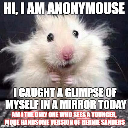 i express my views anonymousely-it's all an illusion as I am no socialist rat! | HI, I AM ANONYMOUSE; I CAUGHT A GLIMPSE OF MYSELF IN A MIRROR TODAY; AM I THE ONLY ONE WHO SEES A YOUNGER, MORE HANDSOME VERSION OF BERNIE SANDERS | image tagged in anonymouse,memes,funny memes,election 2016,bernie sanders | made w/ Imgflip meme maker