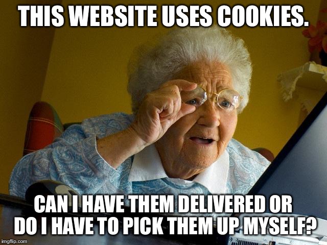 Grandma Finds The Internet Meme | THIS WEBSITE USES COOKIES. CAN I HAVE THEM DELIVERED OR DO I HAVE TO PICK THEM UP MYSELF? | image tagged in memes,grandma finds the internet | made w/ Imgflip meme maker