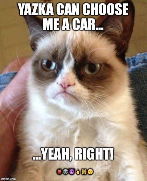 Grumpy Cat Meme | YAZKA CAN CHOOSE ME A CAR... ...YEAH, RIGHT! 👹👽👿🖕🙀😲 | image tagged in memes,grumpy cat | made w/ Imgflip meme maker