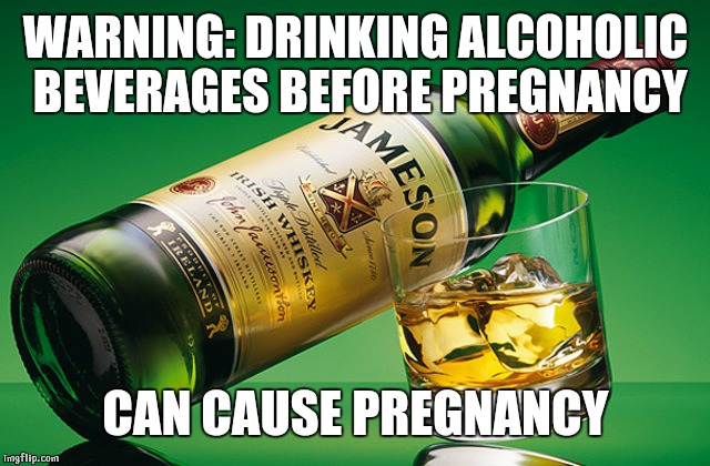 jamesonwhiskey | WARNING: DRINKING ALCOHOLIC BEVERAGES BEFORE PREGNANCY; CAN CAUSE PREGNANCY | image tagged in jamesonwhiskey | made w/ Imgflip meme maker