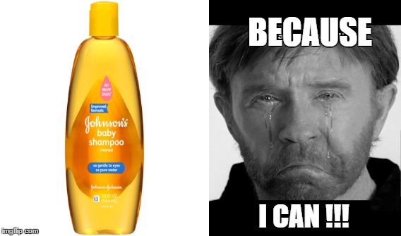 chuck norris | BECAUSE; I CAN !!! | image tagged in chuck norris | made w/ Imgflip meme maker