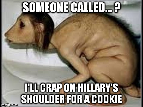 SOMEONE CALLED... ? I'LL CRAP ON HILLARY'S SHOULDER FOR A COOKIE | made w/ Imgflip meme maker