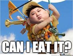 Kim Jong Up | CAN I EAT IT? | image tagged in kim jong up | made w/ Imgflip meme maker