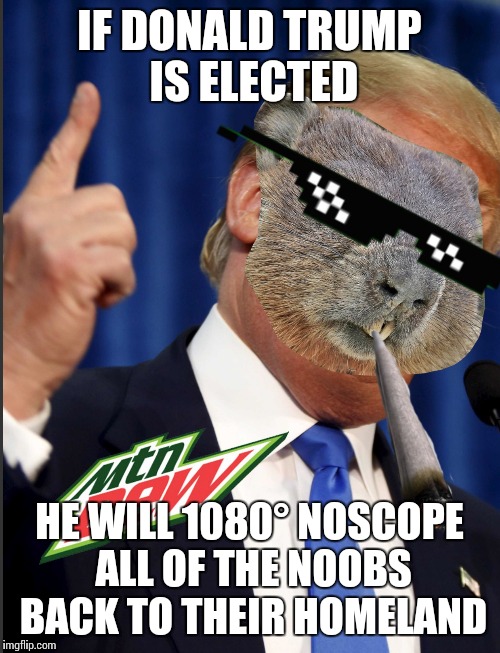 Mlg Groundhog | IF DONALD TRUMP IS ELECTED; HE WILL 1080° NOSCOPE ALL OF THE NOOBS BACK TO THEIR HOMELAND | image tagged in mlg groundhog | made w/ Imgflip meme maker