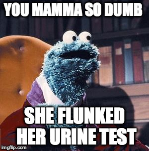 you mamma | YOU MAMMA SO DUMB; SHE FLUNKED HER URINE TEST | image tagged in pimp,cookie,yomamma | made w/ Imgflip meme maker