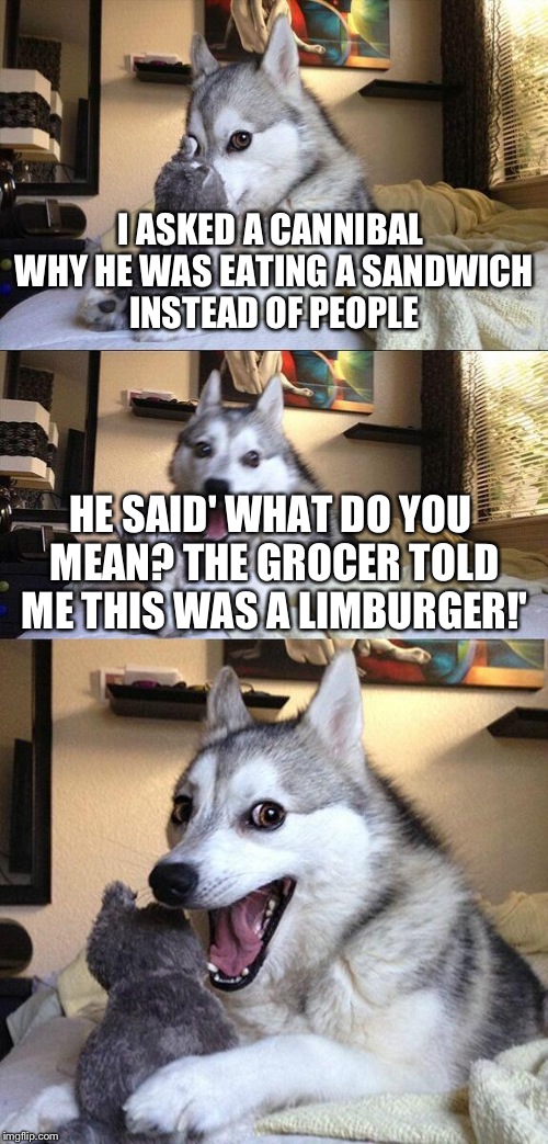 Bad Pun Dog Meme | I ASKED A CANNIBAL WHY HE WAS EATING A SANDWICH INSTEAD OF PEOPLE; HE SAID' WHAT DO YOU MEAN? THE GROCER TOLD ME THIS WAS A LIMBURGER!' | image tagged in memes,bad pun dog | made w/ Imgflip meme maker