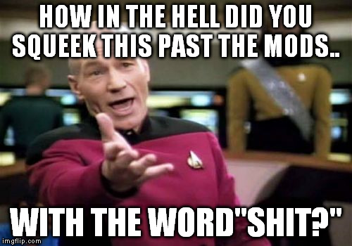 Picard Wtf Meme | HOW IN THE HELL DID YOU SQUEEK THIS PAST THE MODS.. WITH THE WORD"SHIT?" | image tagged in memes,picard wtf | made w/ Imgflip meme maker