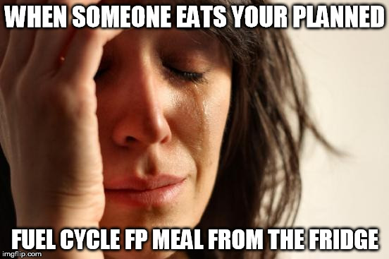 Trim Healthy Mama Fuel Cycle Woes | WHEN SOMEONE EATS YOUR PLANNED; FUEL CYCLE FP MEAL FROM THE FRIDGE | image tagged in memes,first world problems,thm,trim healthy mama | made w/ Imgflip meme maker