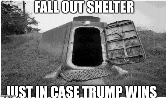 If trump wins | FALL OUT SHELTER; JUST IN CASE TRUMP WINS | image tagged in donald trump | made w/ Imgflip meme maker